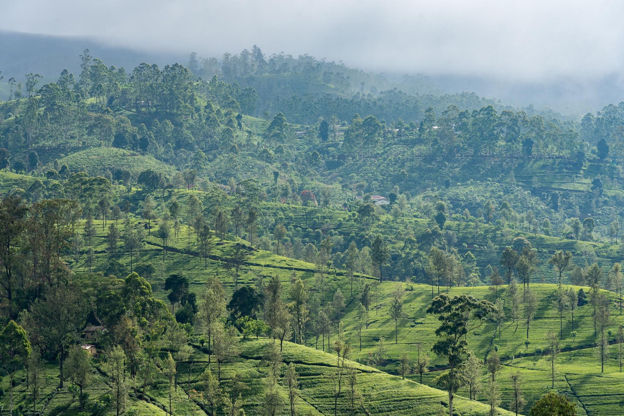 Langdale Boutique Hotel By Amaya Nuwara Eliya Exteriér fotografie