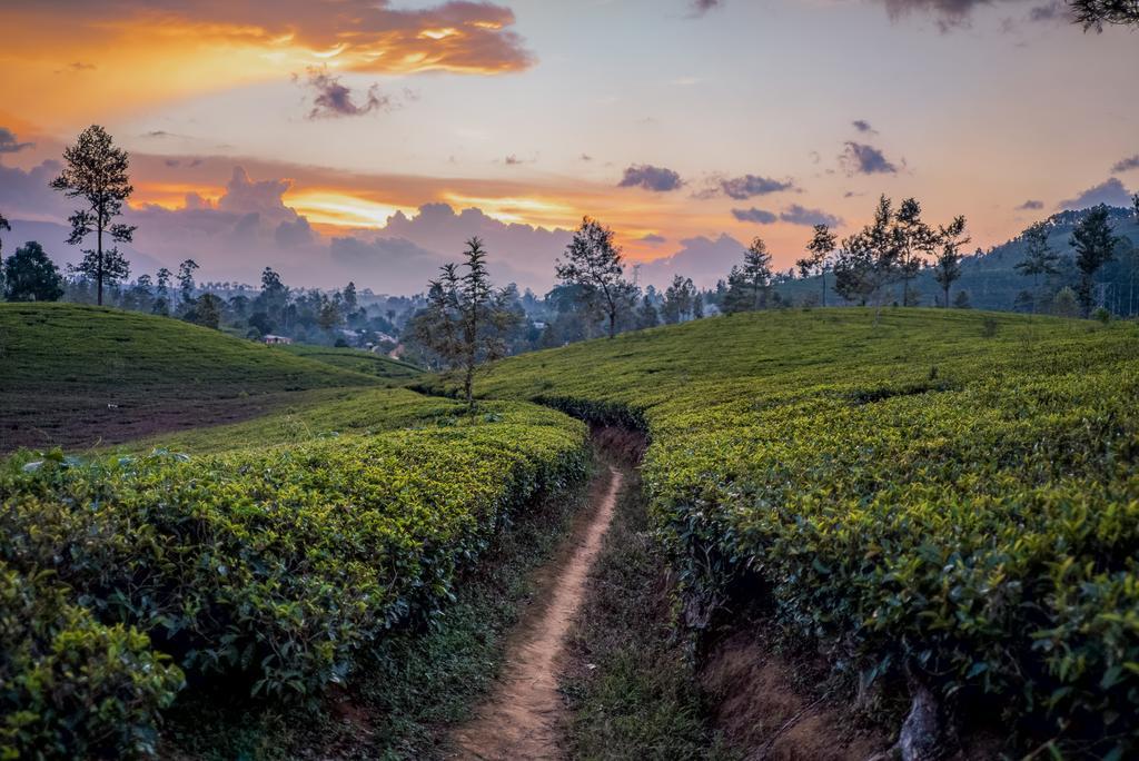 Langdale Boutique Hotel By Amaya Nuwara Eliya Exteriér fotografie